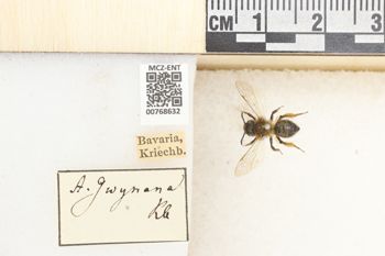 Media type: image;   Entomology 768632 Aspect: Labels